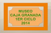 Museo caja granada 1 er ciclo 2014