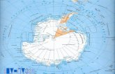 Salva antarctica-bori