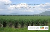 Informe estadístico del sector agroindustrial de la caña de azúcar en méxico zafra 2015 2016