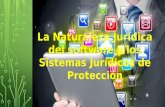 La Naturaleza Jur­dica del software y los Sistemas Jur­dicos de Protecci³nLa Naturaleza Jur­dica del software y los Sistemas Jur­dicos de Protecci³n