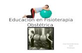 Educación en fisioterapia obstétrica presentacion