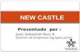 Juan Sebastian Ruiz A. - Enfermedad de New Castle
