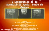 Correlación clínico quirúrgica y sonográfica de la apendicitis Aguda.