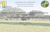 Vacuno de carne ecologico y convencional dehesa Extremadura