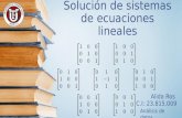 Solución de sistemas de ecuaciones lineales.