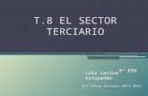T.8 Las actividades del sector terciario