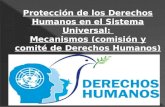 Derechos humanos protección de los derechos humanos en el sistema