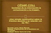 César Coll -Practicas Educativas