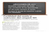 Fertilidad del suelo y nutrición del césped 101 Algunos conceptos ...