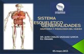 Sistema musculo-esqueletico