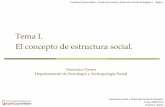 Tema I. El concepto de estructura social.