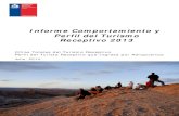 Informe Comportamiento y Perfil del Turismo Receptivo 2013