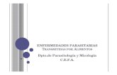 ENFERMEDADES PARASITARIAS Dpto.de Parasitología y ...