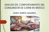 analisis del comportamiento del consumidor de carne en méxico