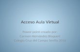 Acceso aula virtual