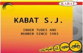 Kabat company presentation 2014