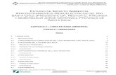 (4-06) EIA PRESAS SC - Cap. 04 LBA - P. 06 Limnología