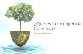 ¿Qué es Inteligencia Colectiva?