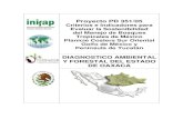 Principios para la evaluación del manejo forestal en Oaxaca: Caso ...