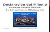 Declaracion del milenio 2000