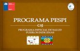 Programa Salud pueblos indígenas