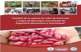 “Análisis de la cadena de valor de frijol rojo y negro en Nicaragua ...