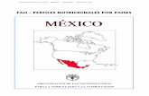 Perfil Nutricional de México