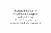 Boquímica y Microbiología Industrial