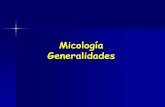 Micologia generalidades 2013