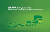 Guía de Pago de Haberes y Proveedores por BIP Empresas