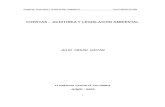 Cuentas Auditoria y Legislacion Ambiental.pdf