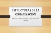 Estructuras de la organización (sandra campaña)