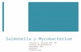 Curso de Microbiología - 19 - Salmonella y Micobacterium