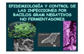 Tema 6. Epidemiologia y control de las infecciones por bacilos no ...