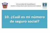 Cuál es mi número de seguro social? - cucs.udg.mx