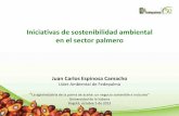 Iniciativas de sostenibilidad ambiental en el sector palmero. Juan ...