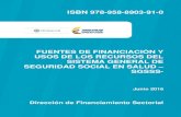 ISBN 978-958-8903-91-0 FUENTES DE FINANCIACIÓN Y USOS ...