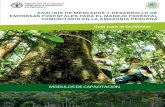 Análisis de mercados y desarrollo de empresas forestales para el ...