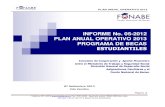Plan Anual Operativo 2013.pdf