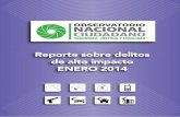 Reporte sobre delitos de alto impacto ENERO 2014