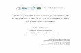 Caracterización fisonómica y funcional de la vegetación de la Puna ...