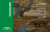 Cuaderno Didáctico del Parque Natural Sierra de Aracena y Picos ...