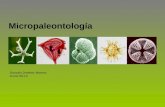 Micropaleontología 1.ppt (4mb)