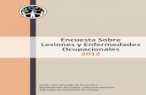 Encuesta Sobre Lesiones y Enfermedades Ocupacionales 2012