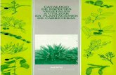 Catálogo de especies vegetales a utilizar en plantaciones de ...