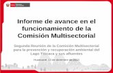 Informe de avance en el funcionamiento de la Comisión Multisectorial.