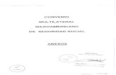 Anexos Convenio Multilateral Iberoamericano de Seguridad Social