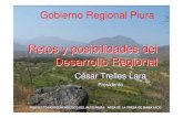 Retos y posibilidades del Desarrollo Regional