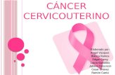 Cancer Cervicouterino-CACU