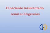 Paciente Transplantado Renal en Urgencias